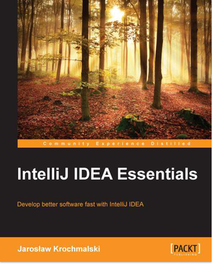 6930OT_IntelliJ IDEA Essentials_Mini_0