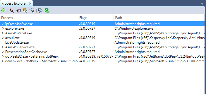 Process Explorer window in dotPeek 1.2