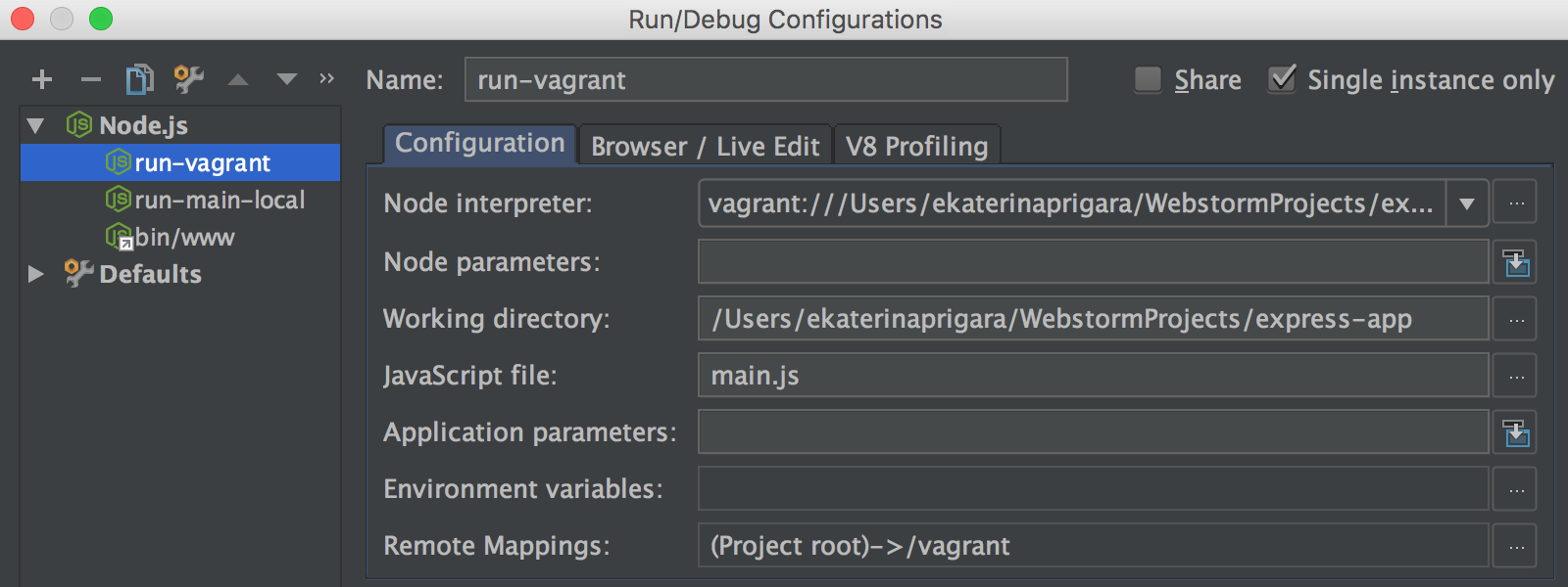 vue webstorm debug