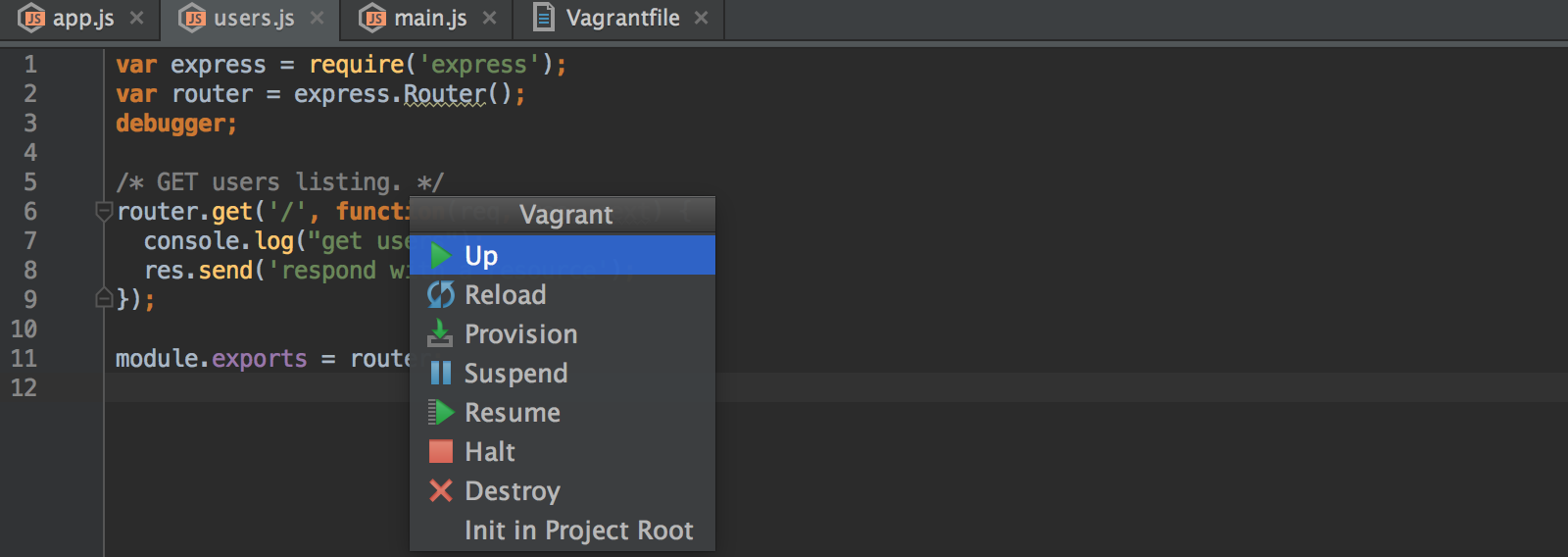 vagrant