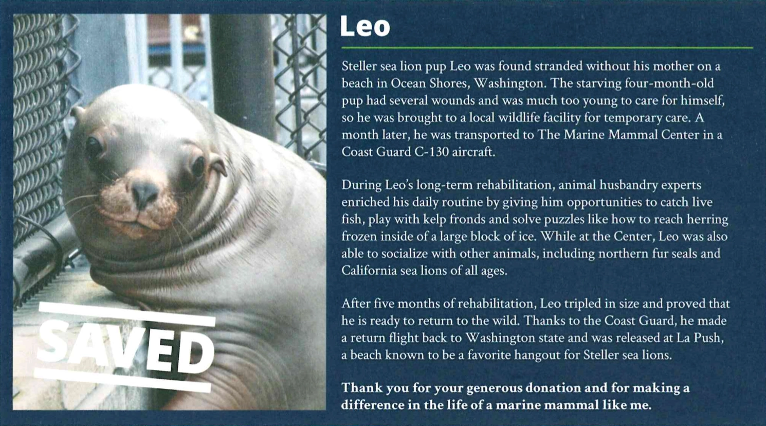 leo