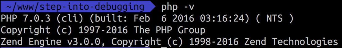 php -v result