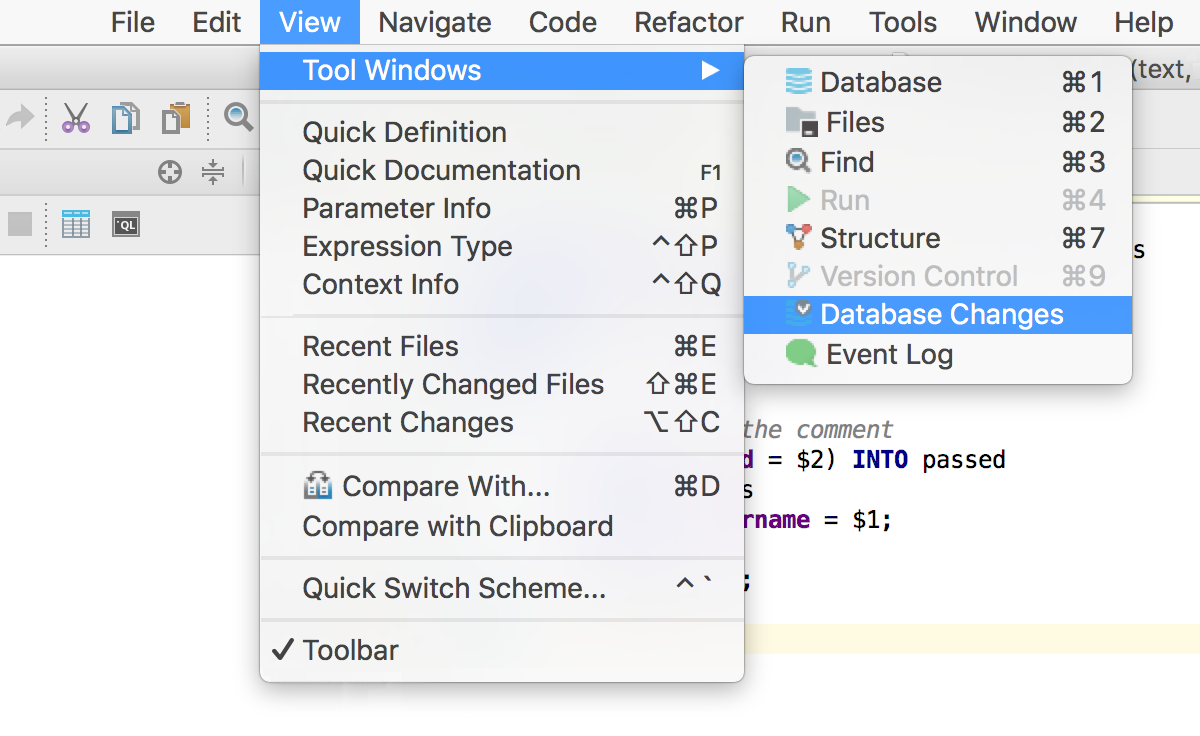 datagrip user parameters