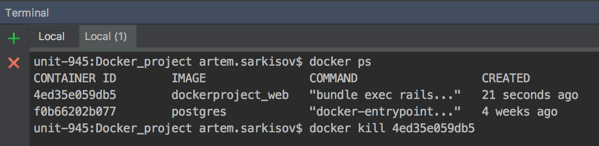 docker_ps_rubymine