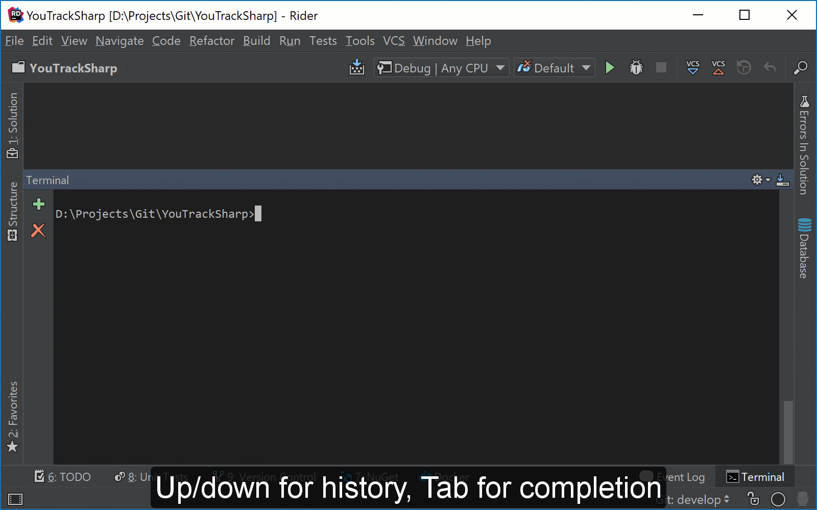 Working with Rider's built-in terminal | The .NET Tools Blog