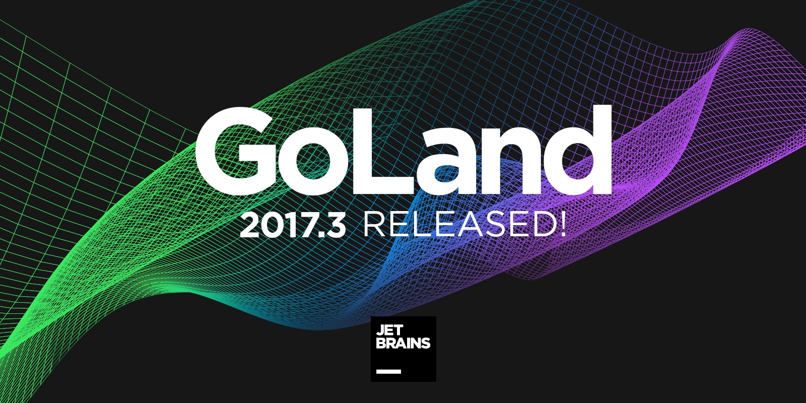 JetBrains GoLand 2023.1.3 download the new for ios
