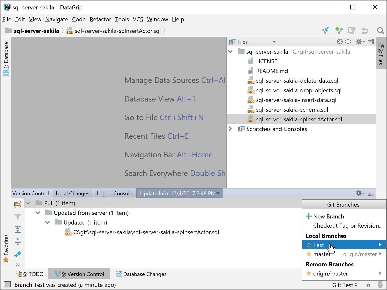 DataGrip Branch selection