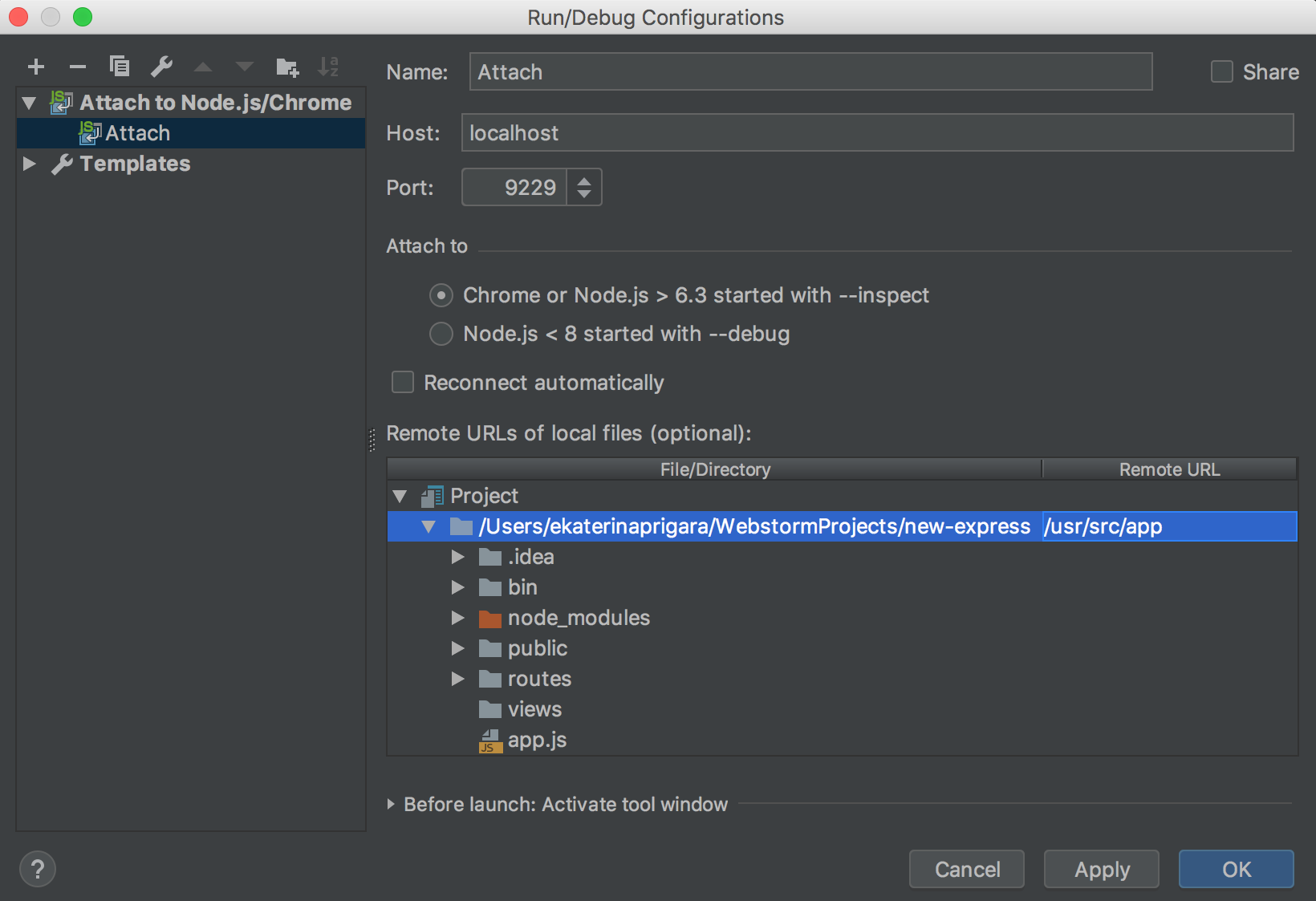 customize template .js webstorm