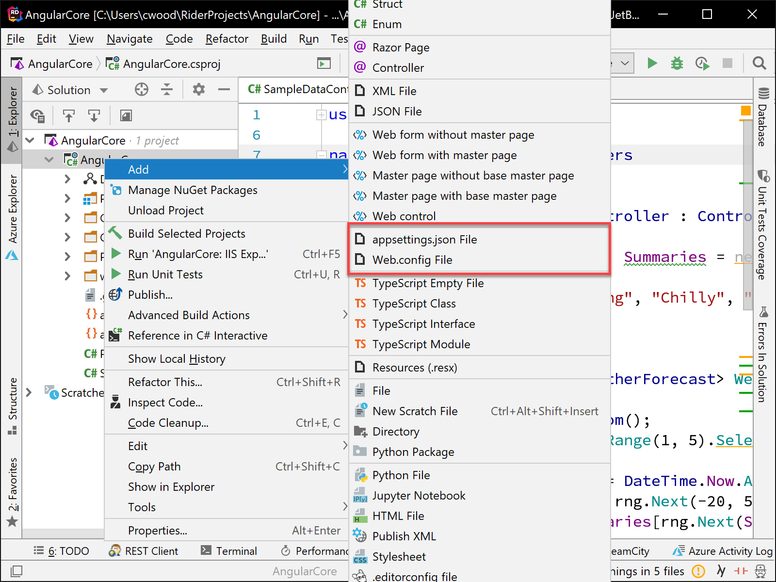 Rider Add Config Files Templates