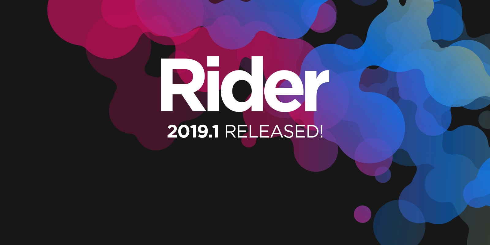 Rider 2019.1 has arrived