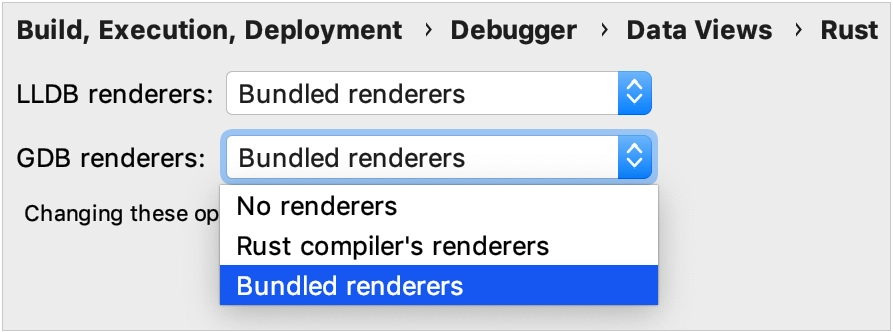 Selecting debugger renderers