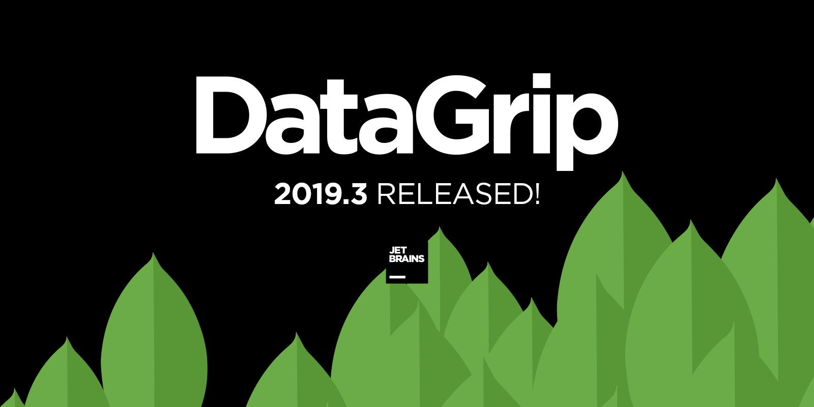 DataGrip 2019.3