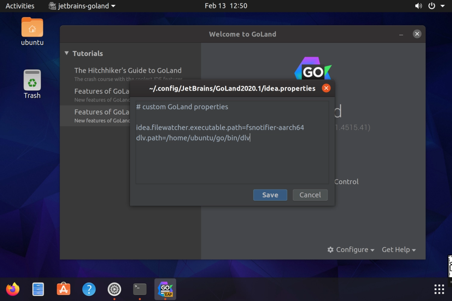 GoLand properties on Raspberry Pi