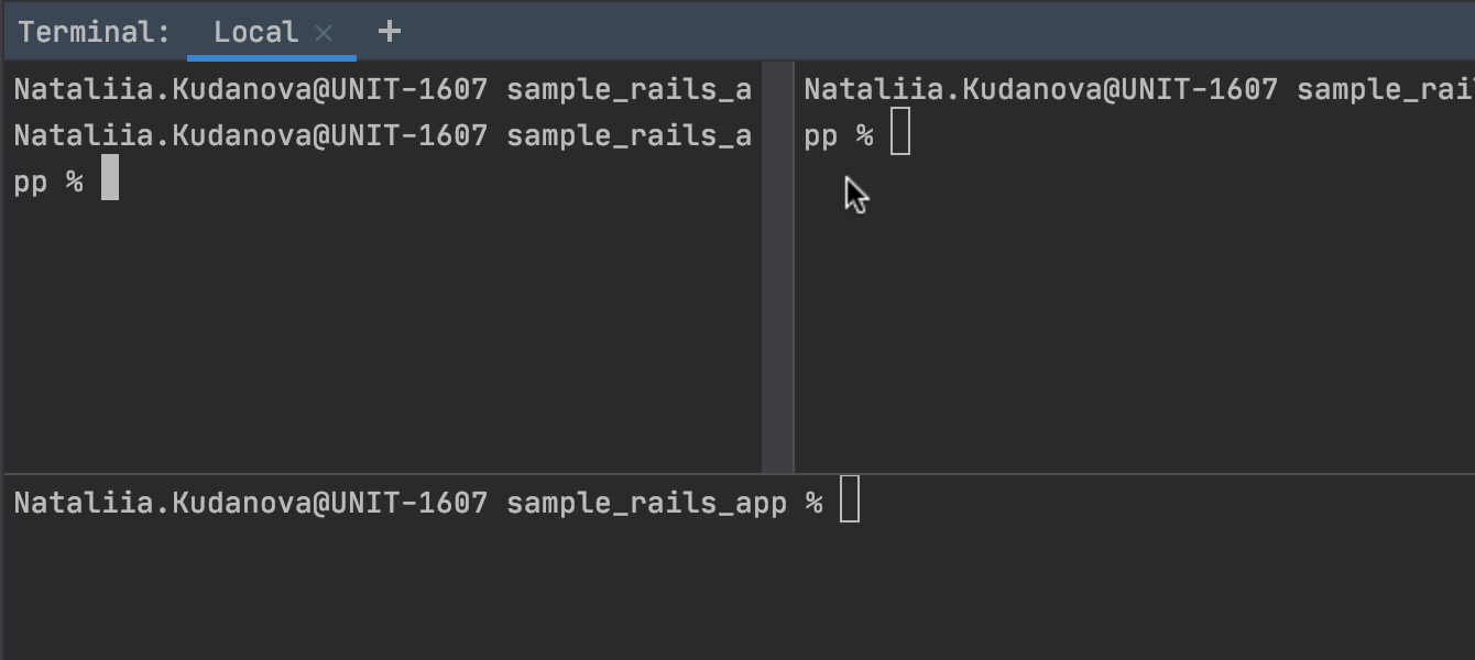 Split terminal sessions