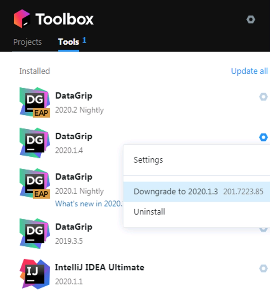 datagrip install