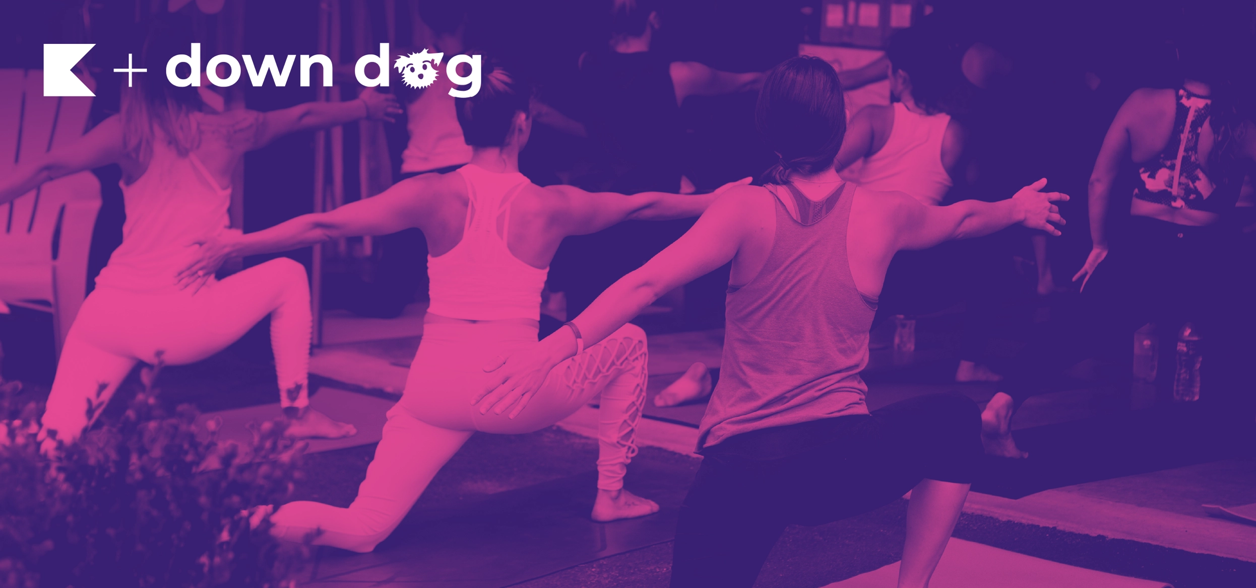 Down Dog: Great Yoga Anywhere (@downdogapp) • Instagram photos and videos