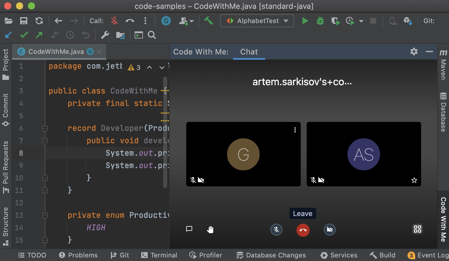 Code With Me Beta: поддержка аудио- и видеозвонков | Блог JetBrains