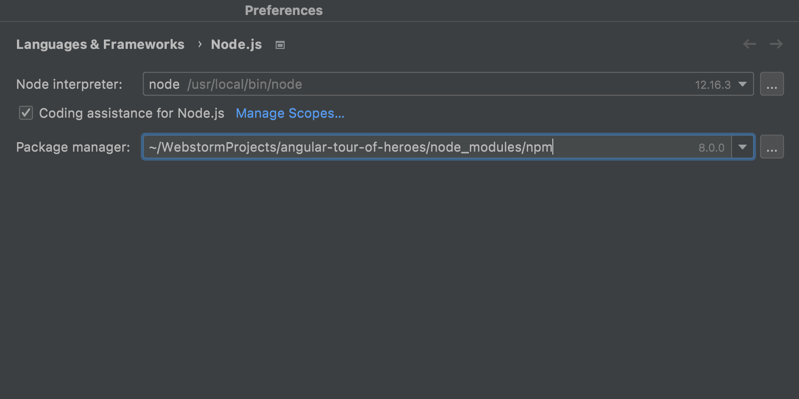 node-js-section-in-preferences
