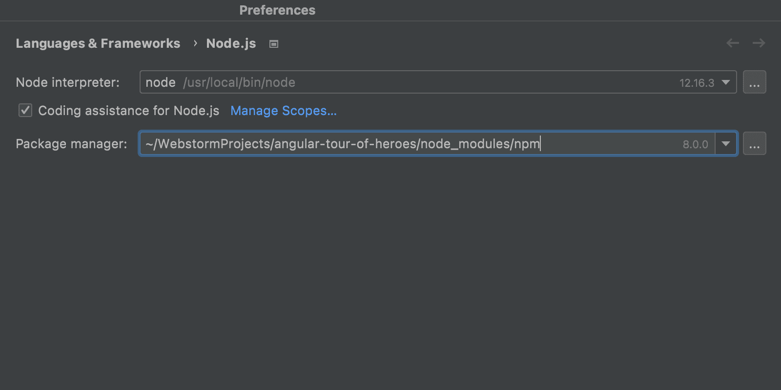 Node.js-Abschnitt in den Einstellungen