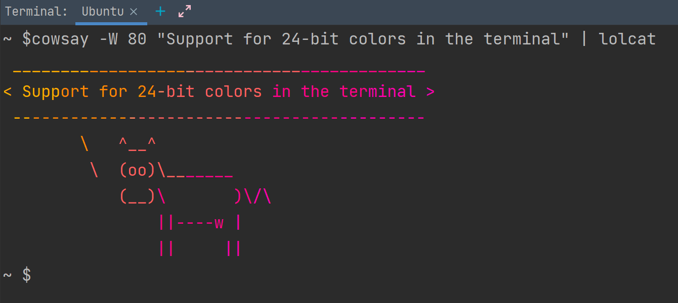 New terminal backend