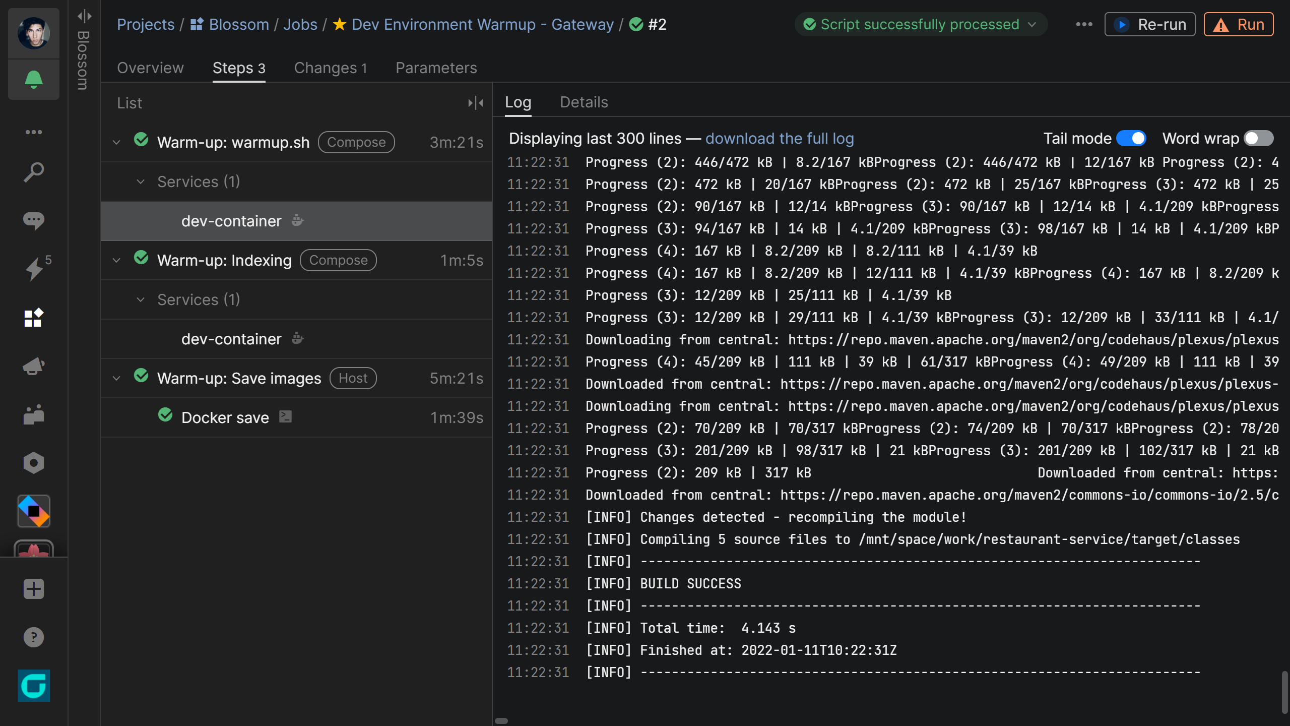 Logs of a dev environment in Space