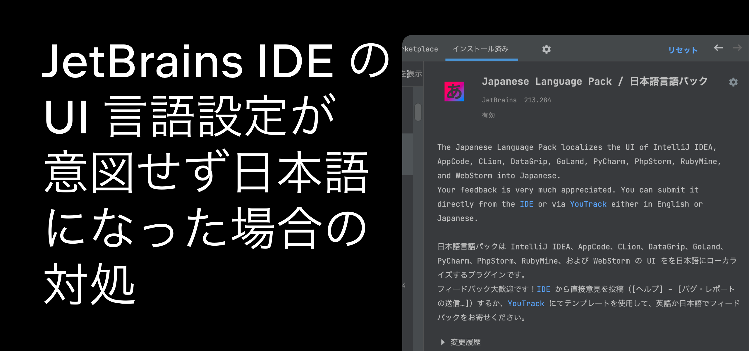 Jetbrains Ide の Ui 言語設定が意図せず日本語になった場合の対処 The Jetbrains Blog