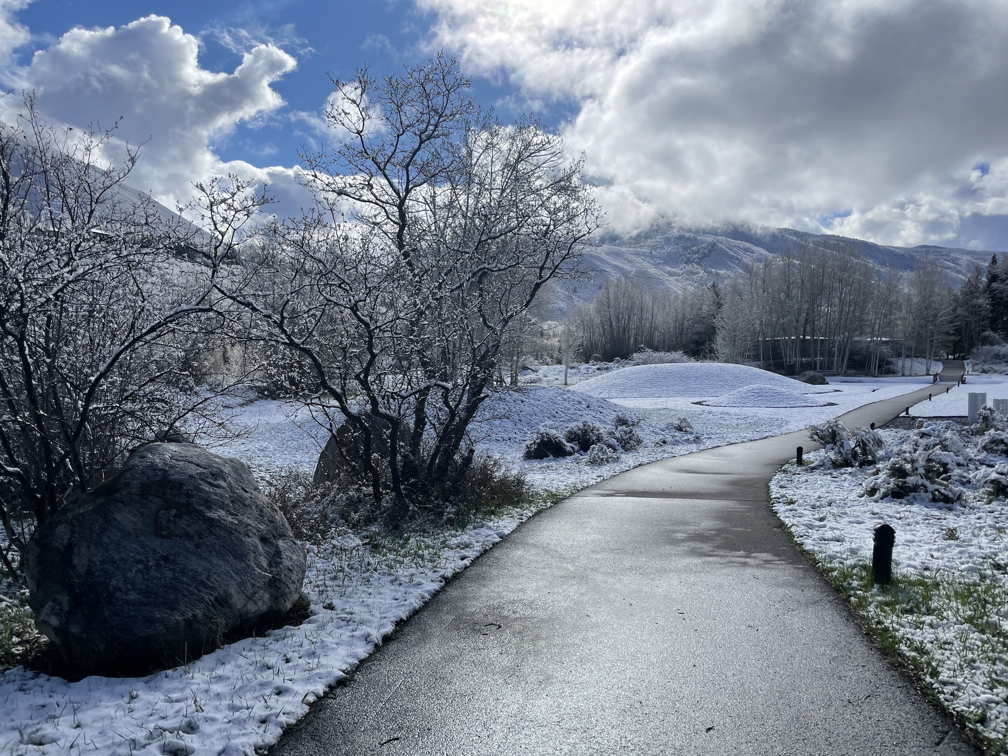 Snow view