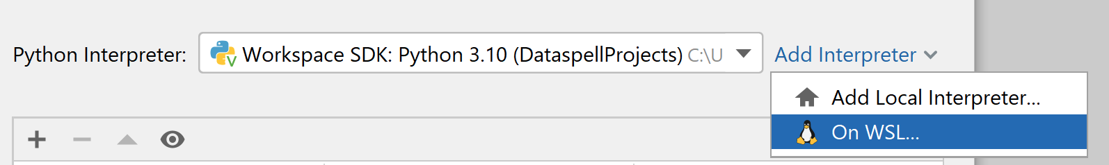 dataspell wsl