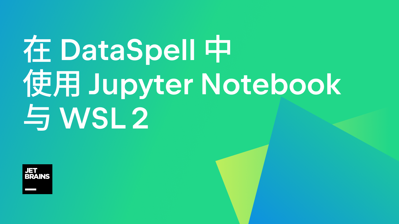 dataspell wsl