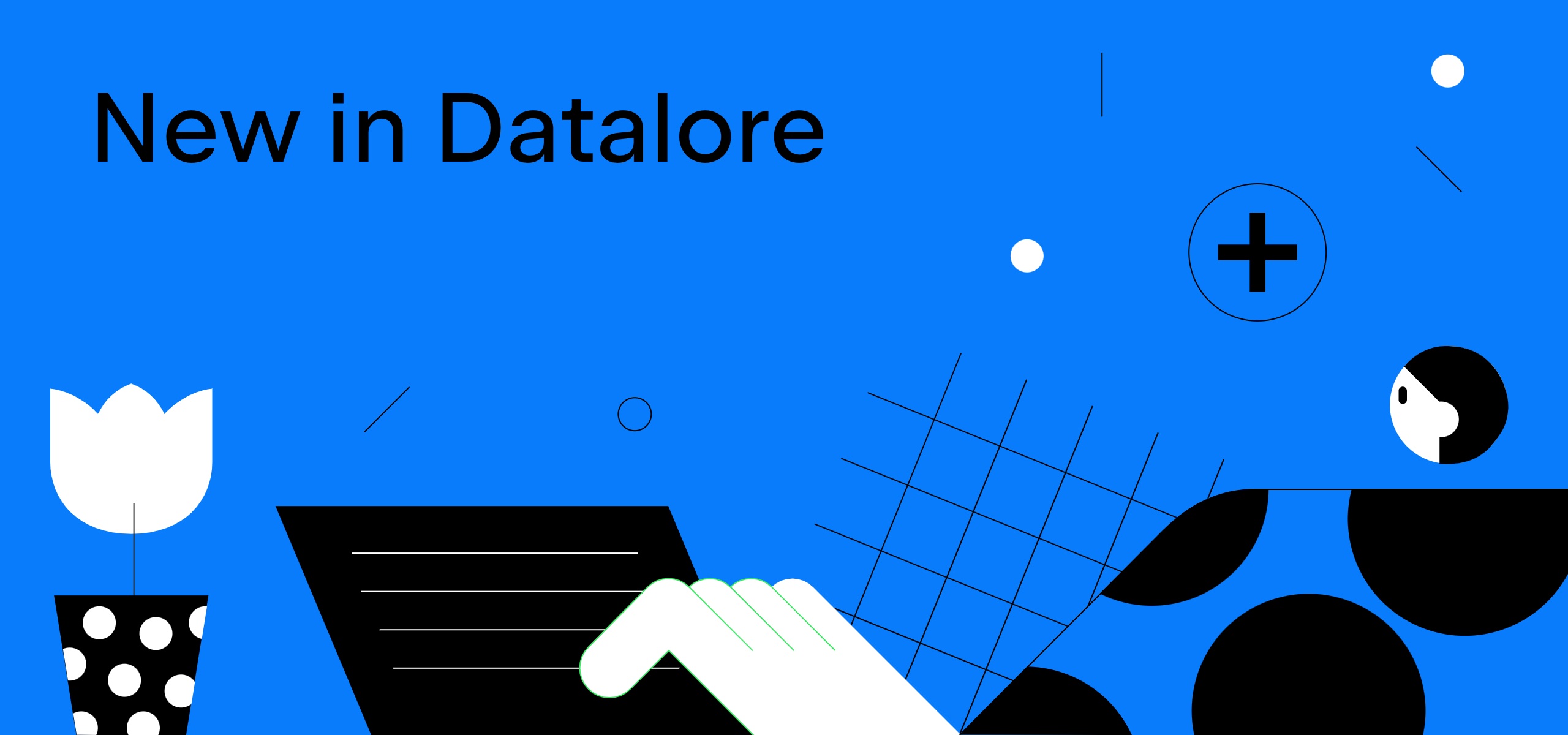 New in Datalore Community & Pro: Report builder