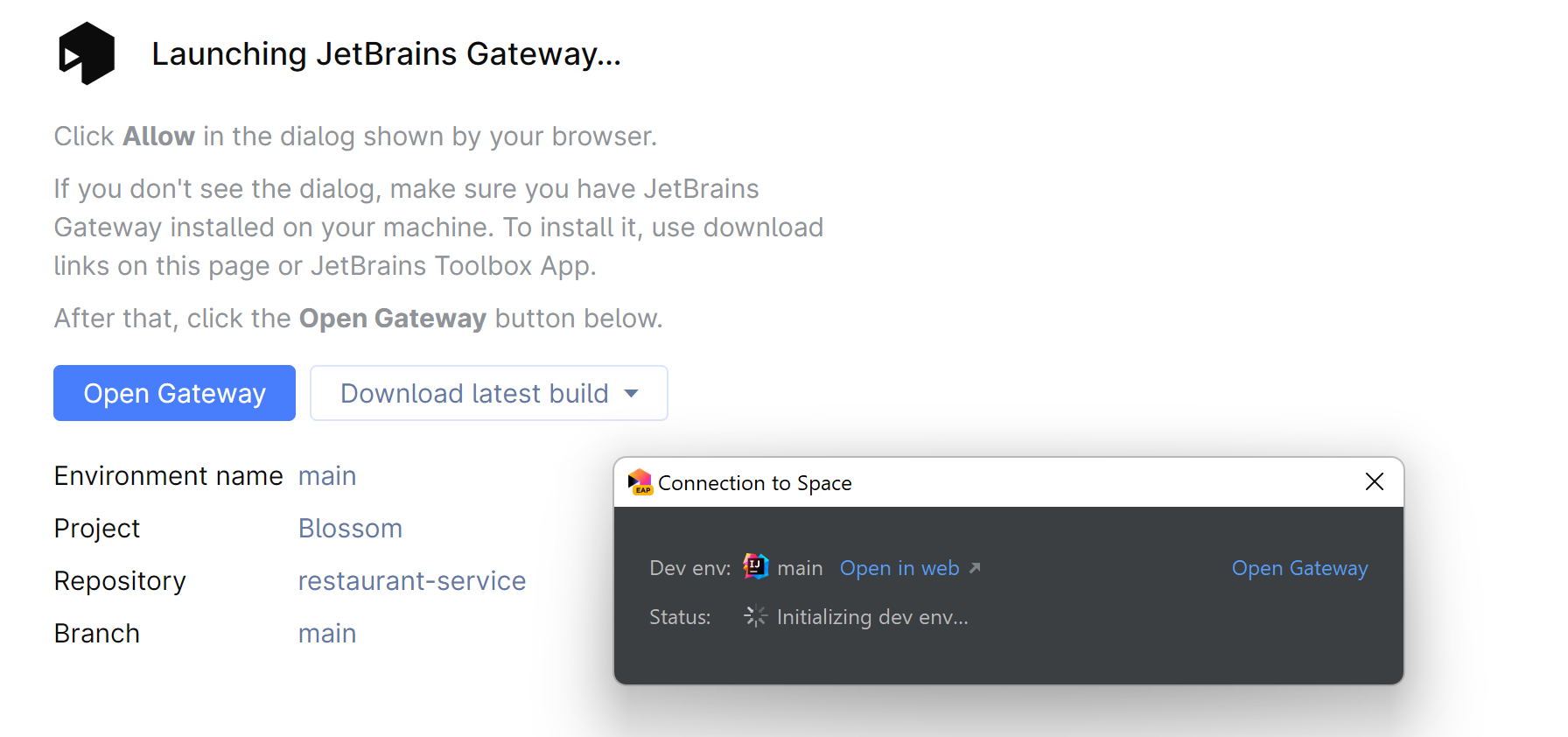 Connecting to a dev environment in Space