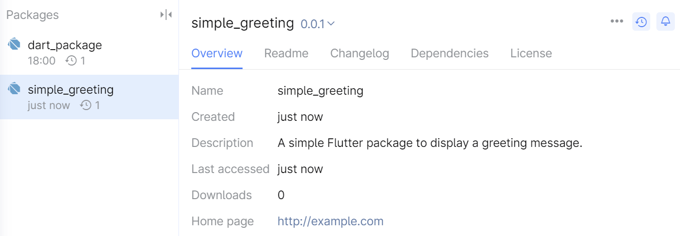 Published Flutter package in a Space Packages repository