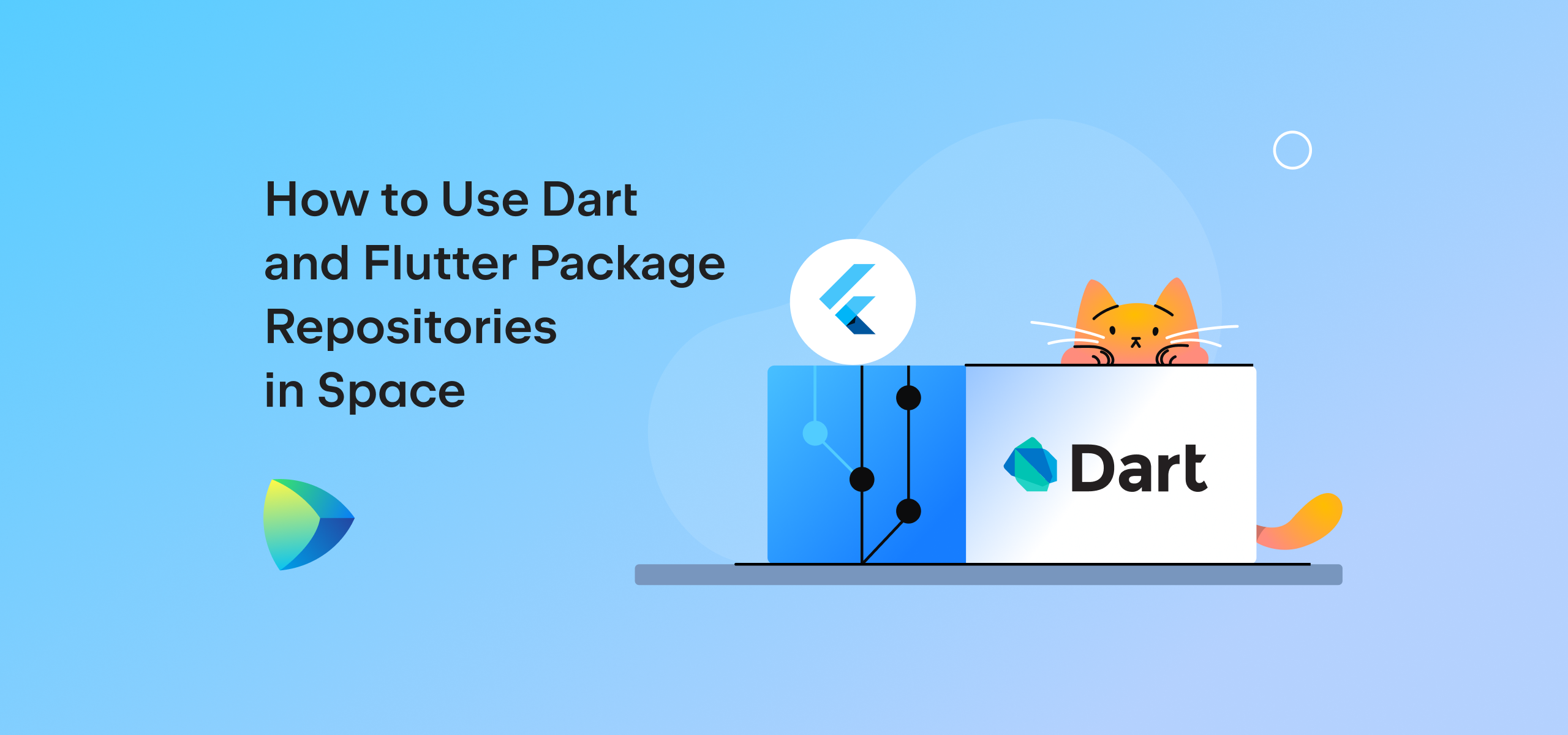 Space 中的 Dart 和 Flutter 软件包仓库