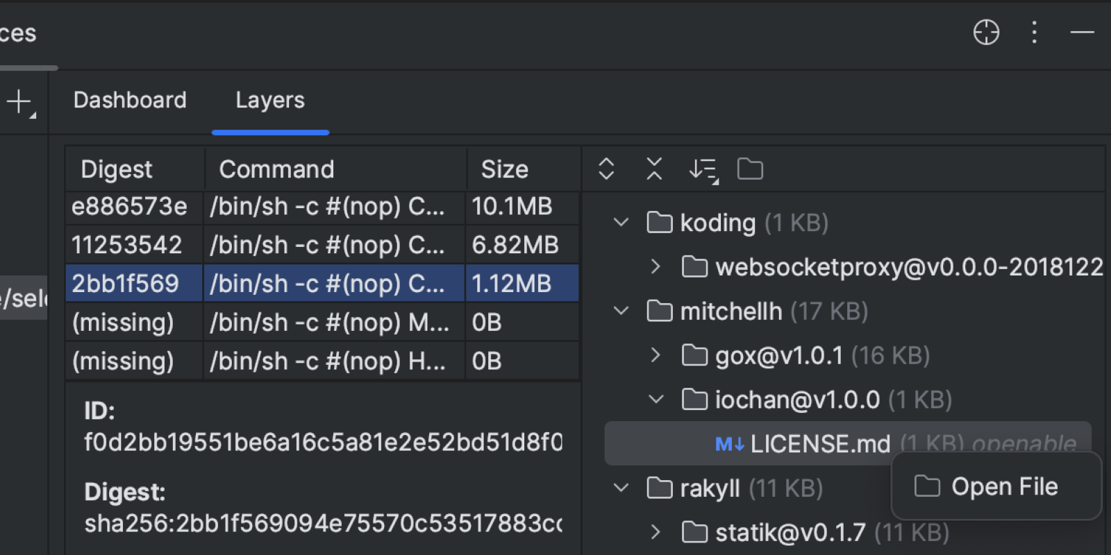 Showing the option to open file in the Docker services view