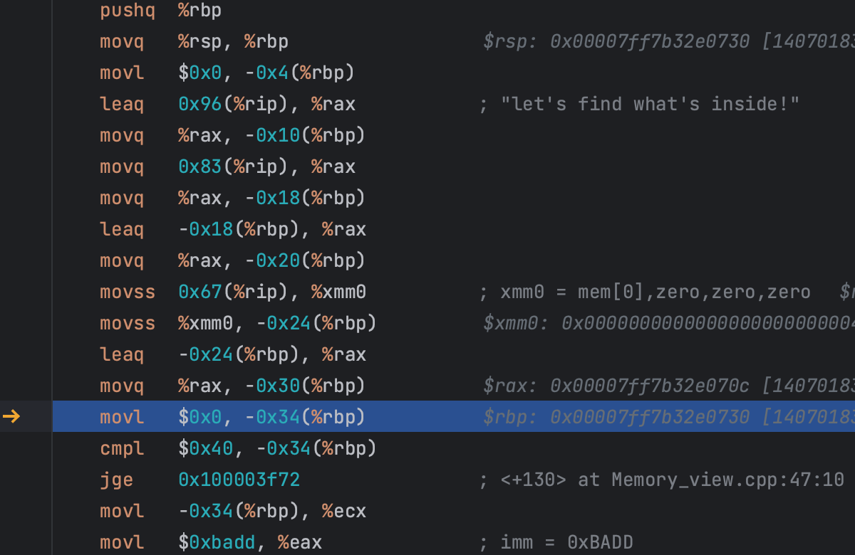 Registers in disasm