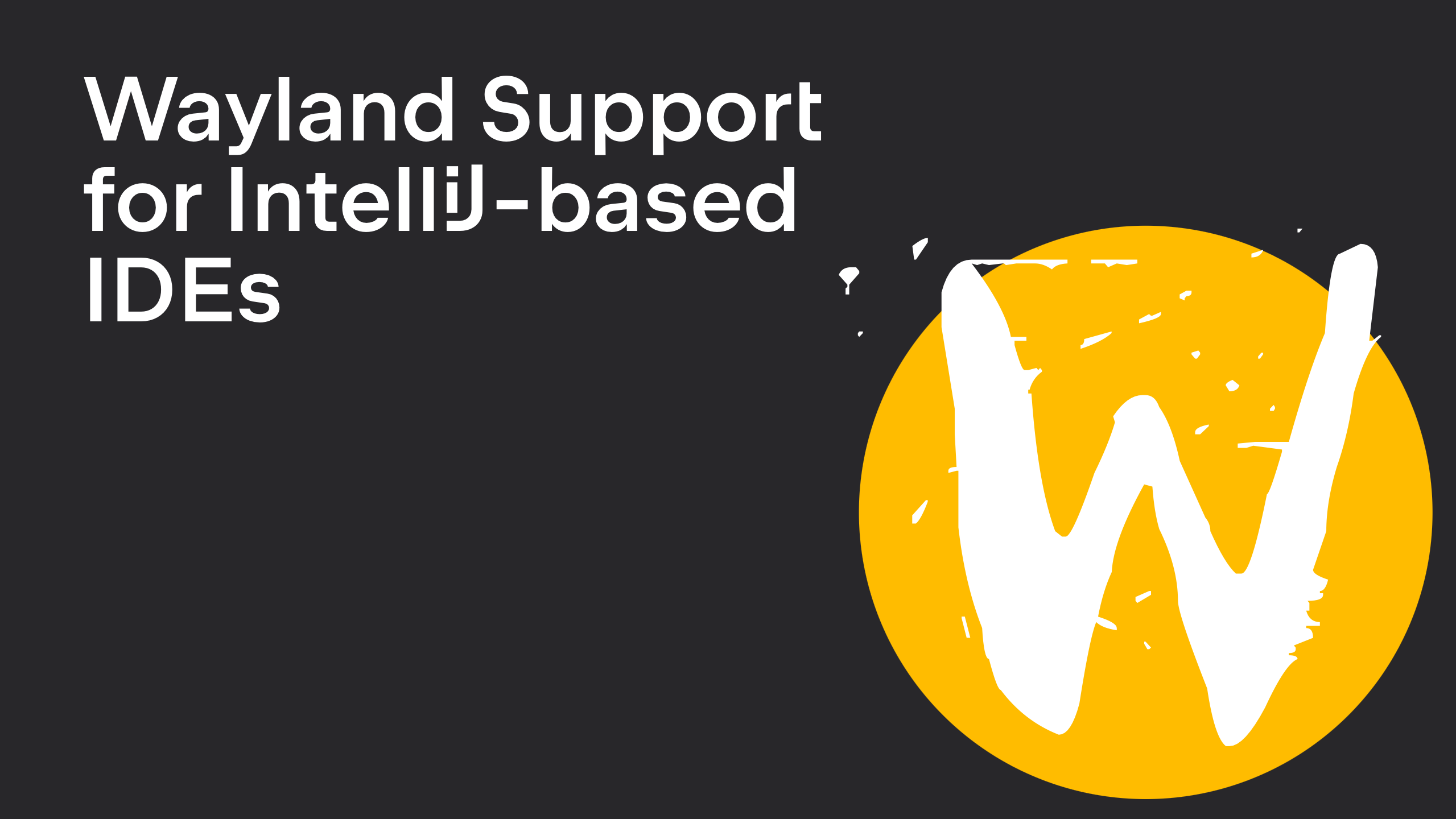 Wayland Support for IntelliJ-based IDEs