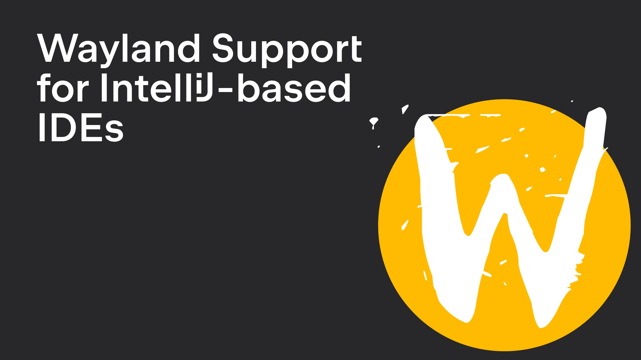 Wayland Support for IntelliJ-based IDEs