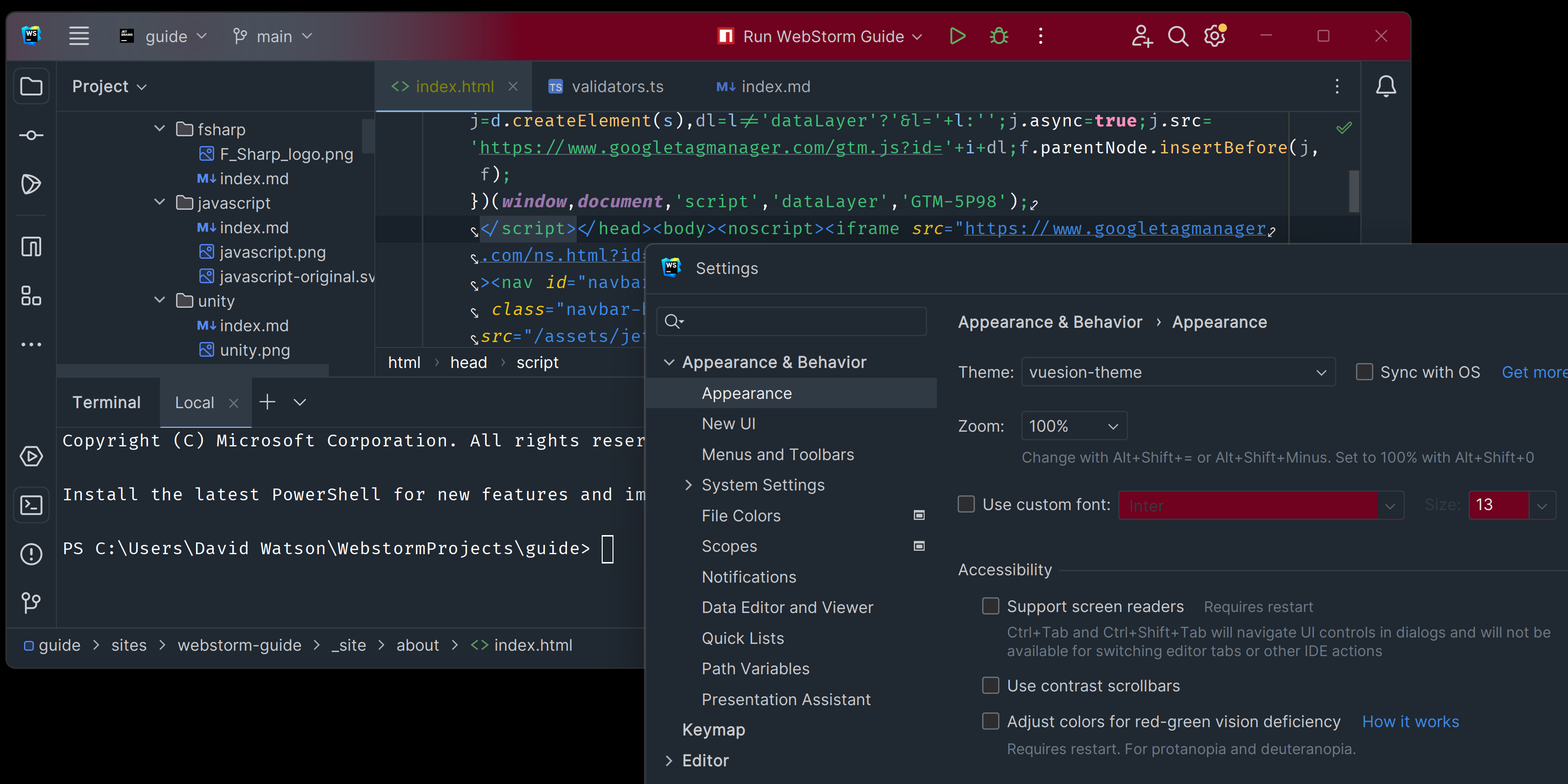 Example of the Vuesion theme in WebStorm