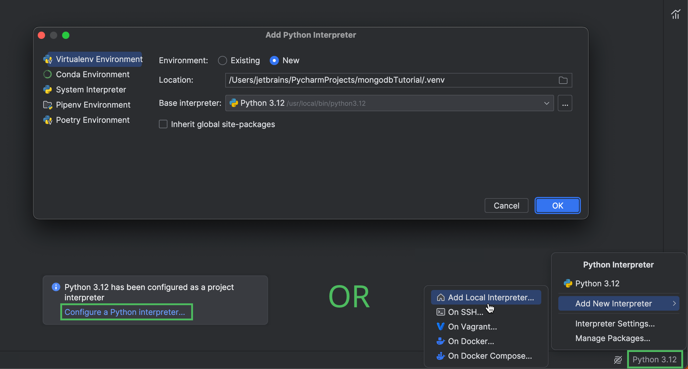 Setting up the project interpreter