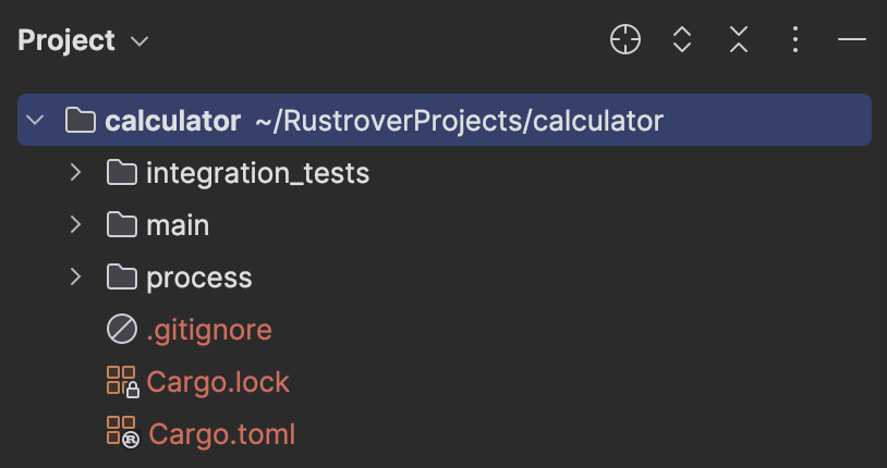 RustRover showing directory structure with folders of integration_tests, main, and process.