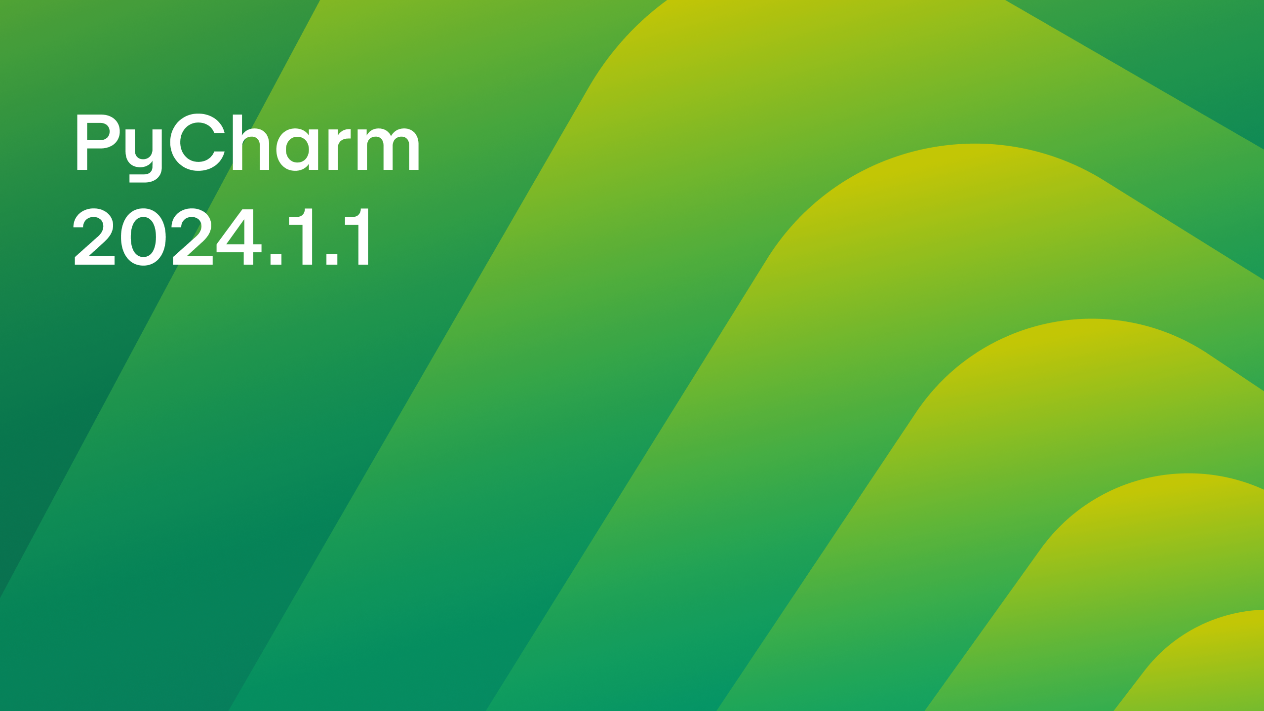 pycharm 2024.1.1