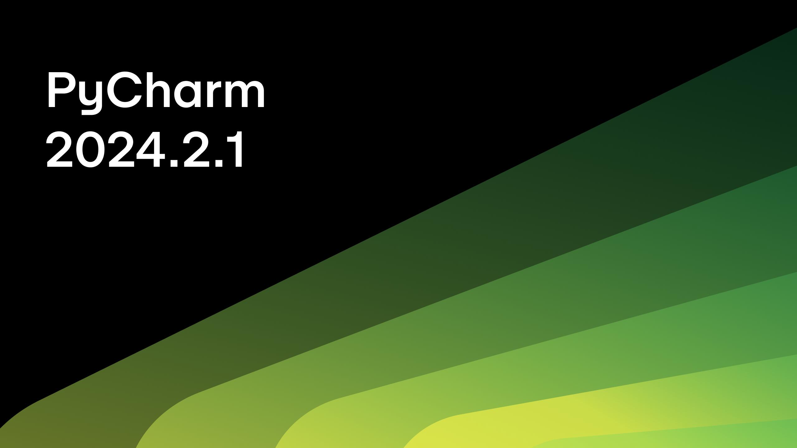 pycharm 2024.2.1