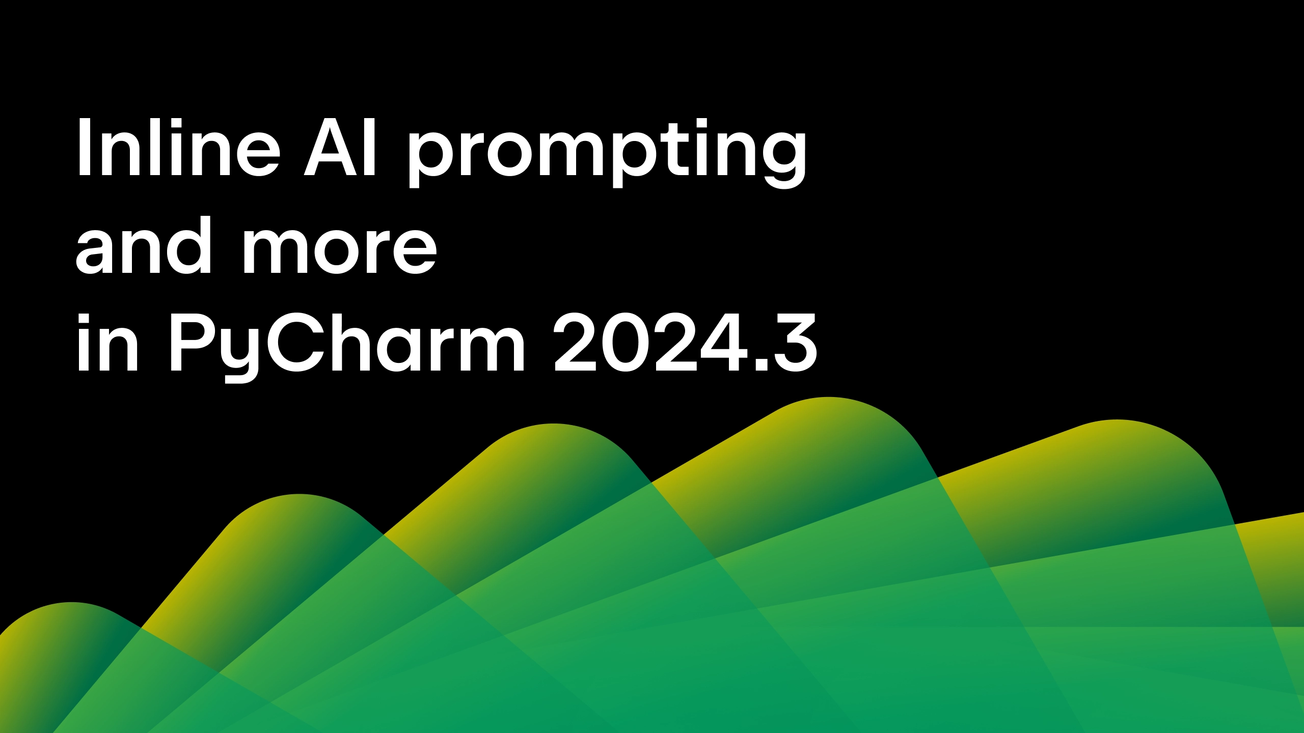 pycharm 2024.3