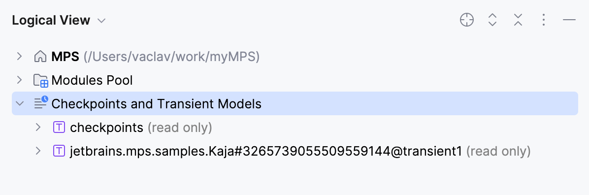 The Checkpoints and Transient Models folder in Project View