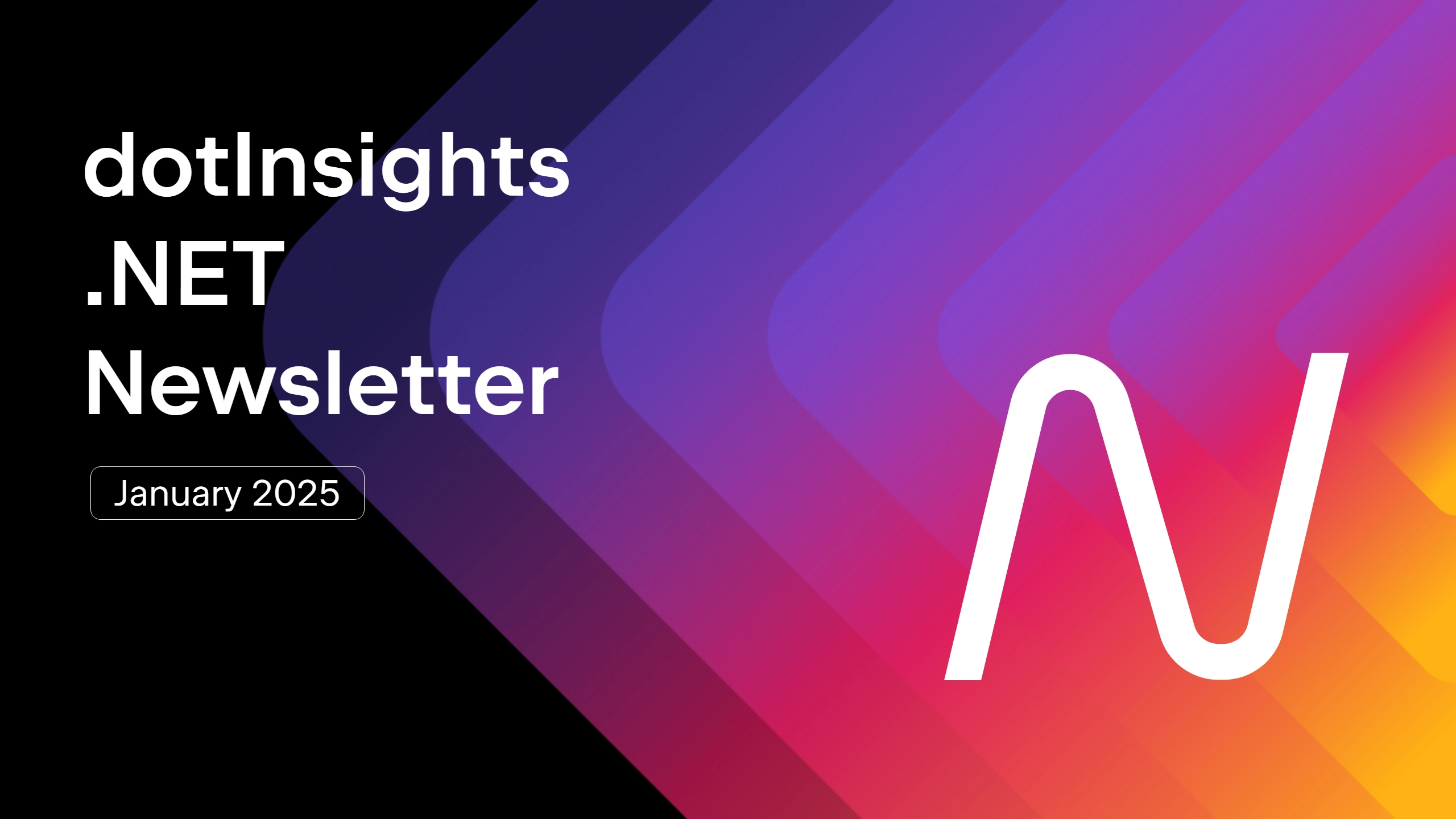 dotInsights .NET newsletter