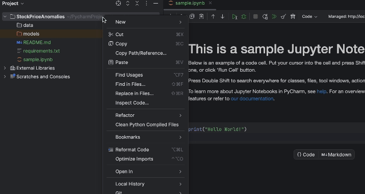 An example notebook in PyCharm