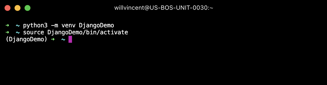 Activate the virtual environment in Python