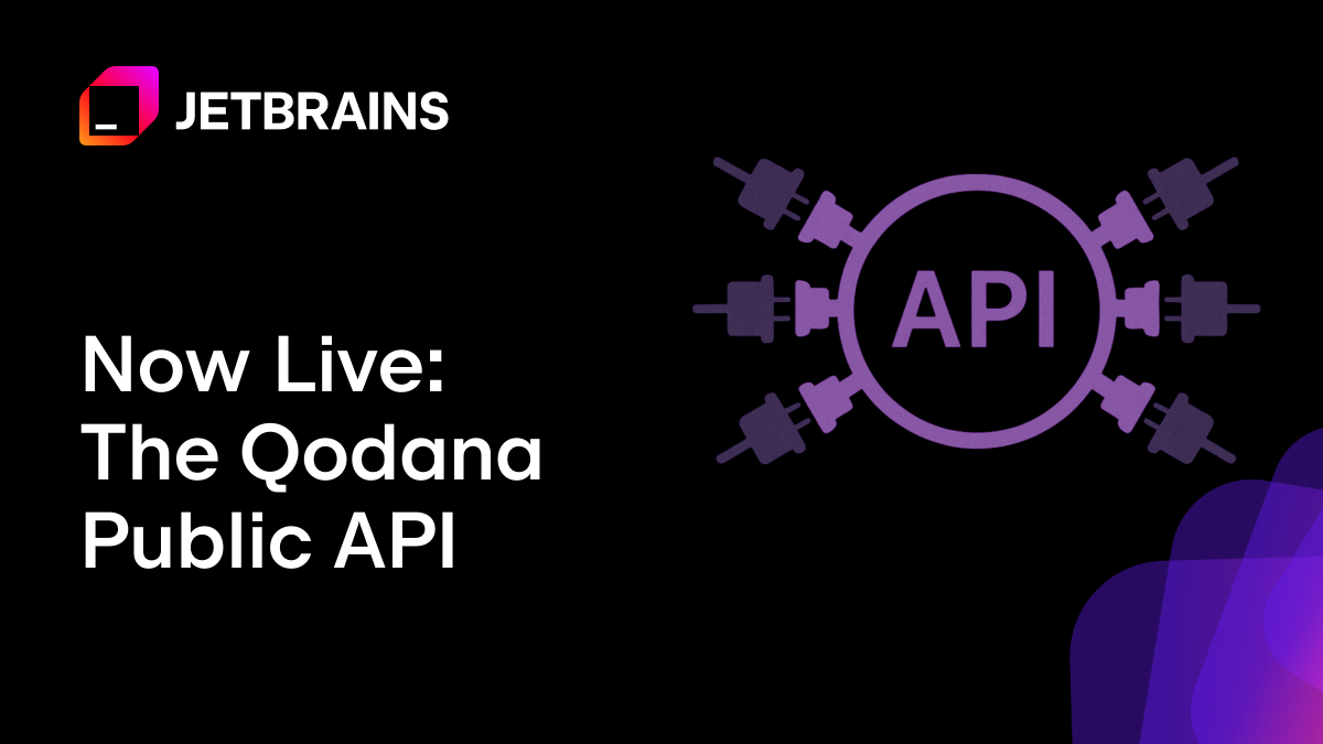 Qodana公共API现已上线！