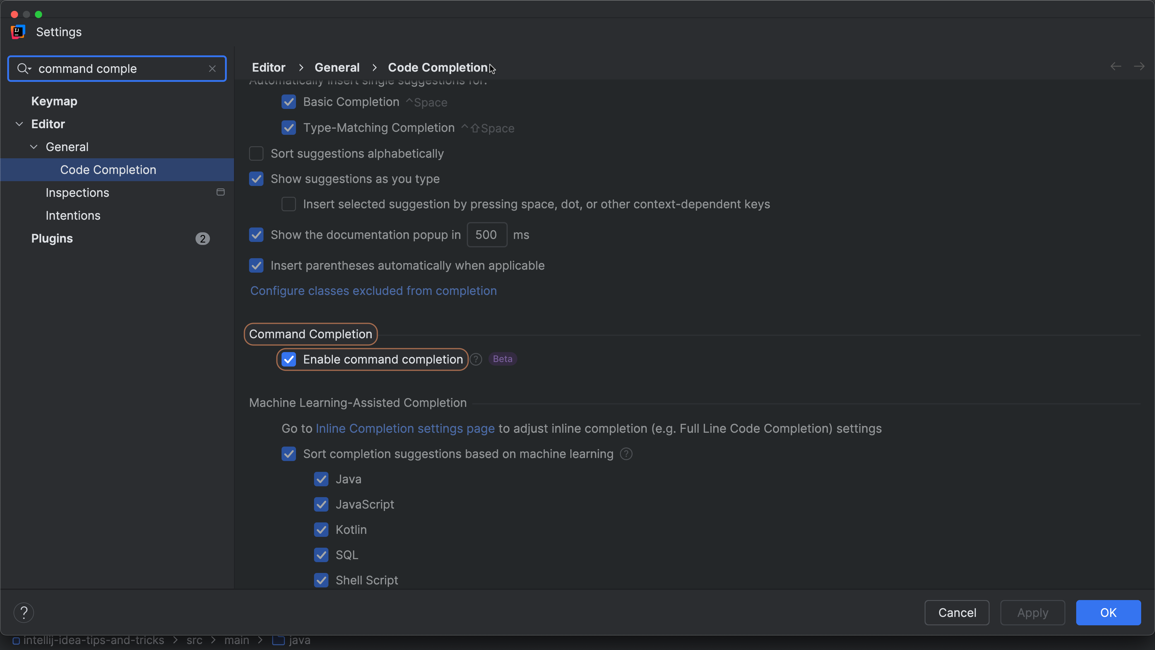 Enable Command Completion in settings (IntelliJ IDEA 2025.2 Beta)