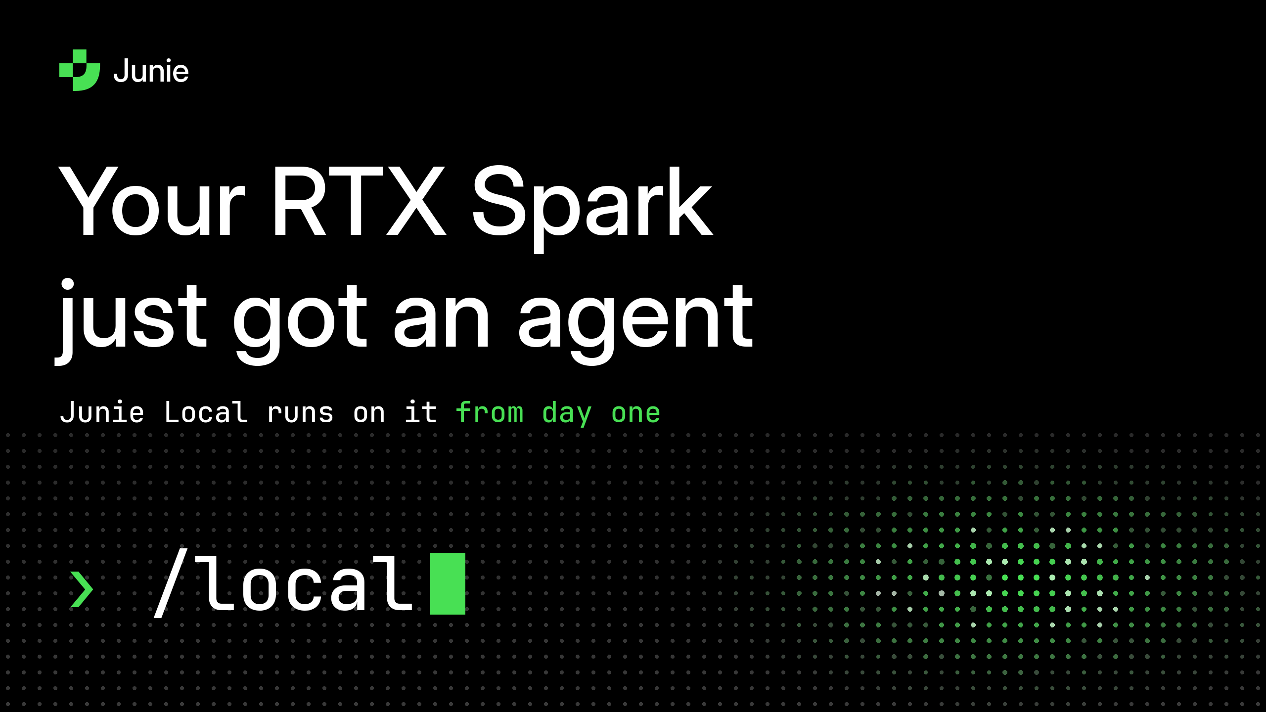 Junie Local on NVIDIA RTX Spark: Free Local AI Coding